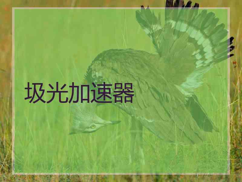 圾光加速器