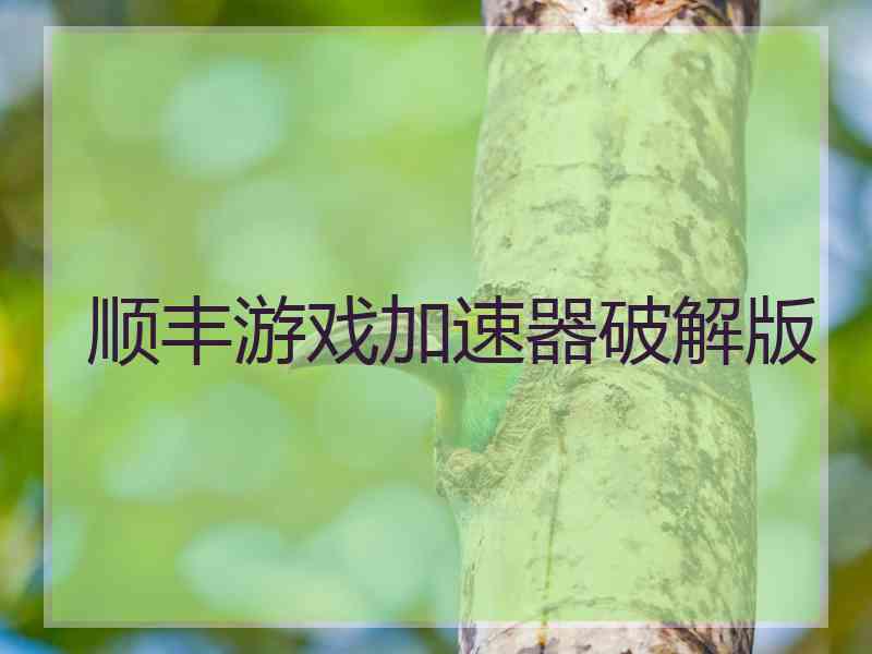 顺丰游戏加速器破解版