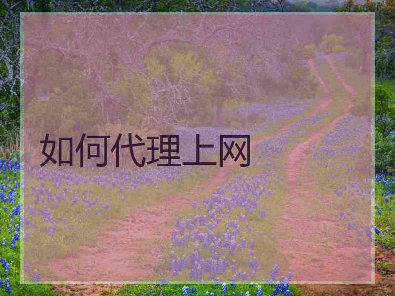 如何代理上网