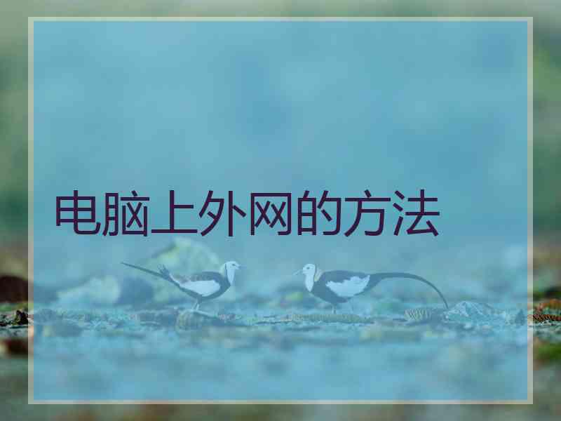电脑上外网的方法