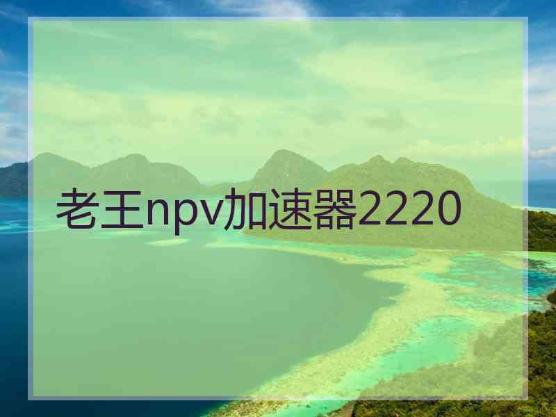 老王npv加速器2220