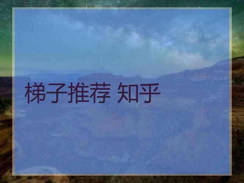 梯子推荐 知乎