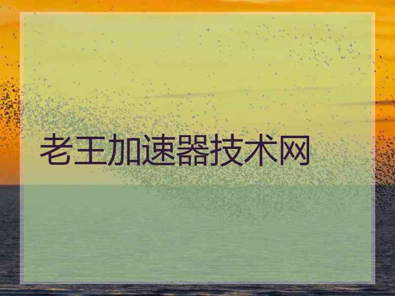老王加速器技术网