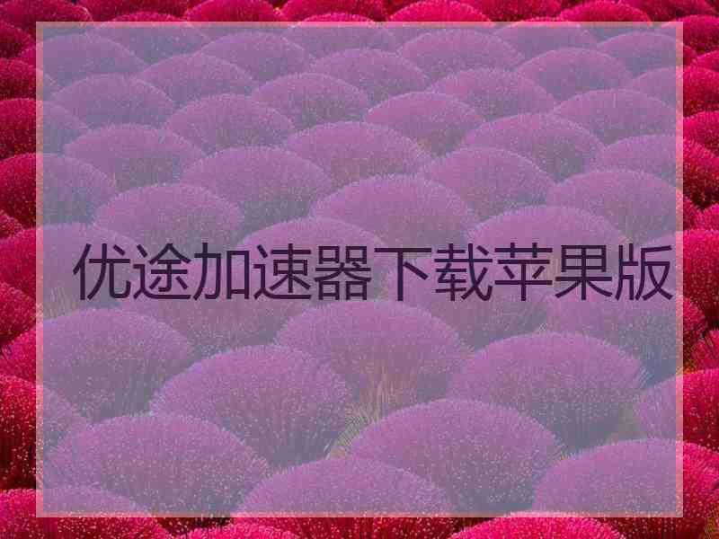 优途加速器下载苹果版