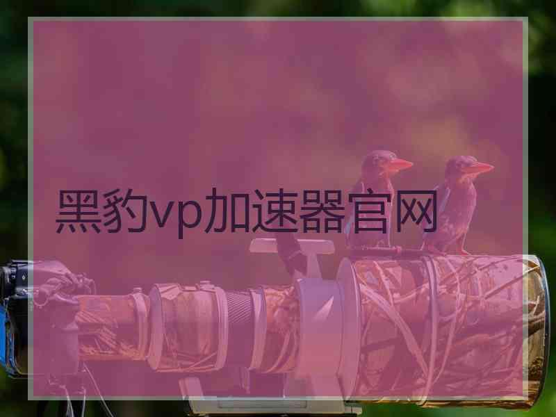 黑豹vp加速器官网