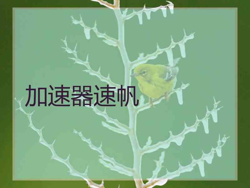 加速器速帆