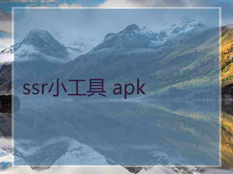 ssr小工具 apk