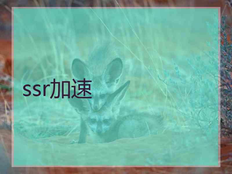 ssr加速