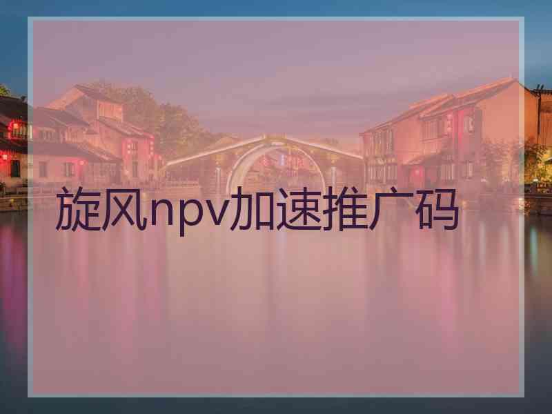 旋风npv加速推广码