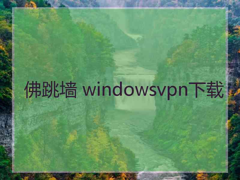 佛跳墙 windowsvpn下载