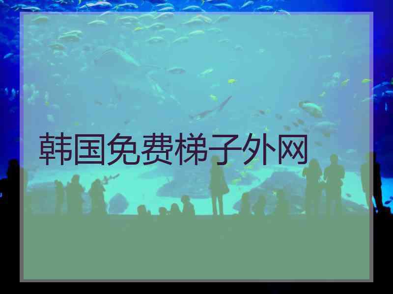 韩国免费梯子外网