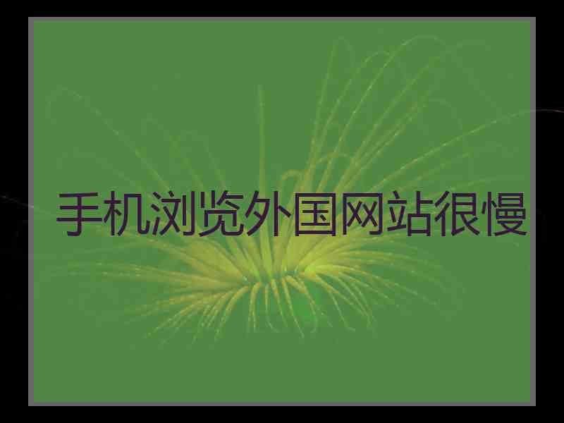 手机浏览外国网站很慢