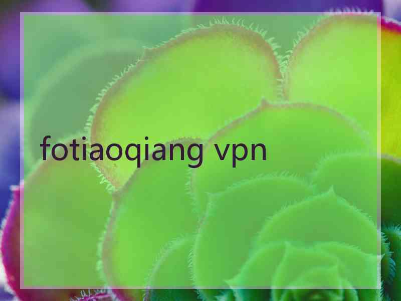 fotiaoqiang vpn