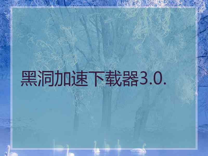 黑洞加速下载器3.0.
