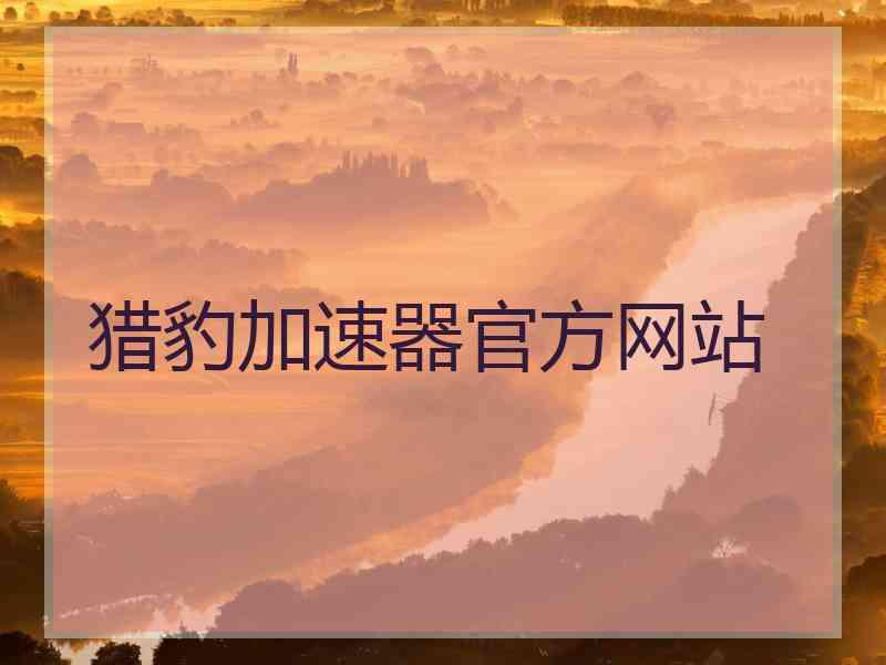 猎豹加速器官方网站