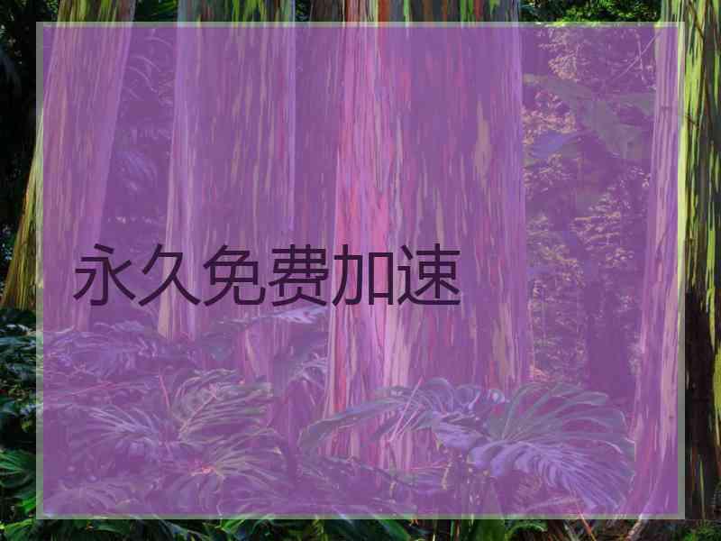 永久免费加速