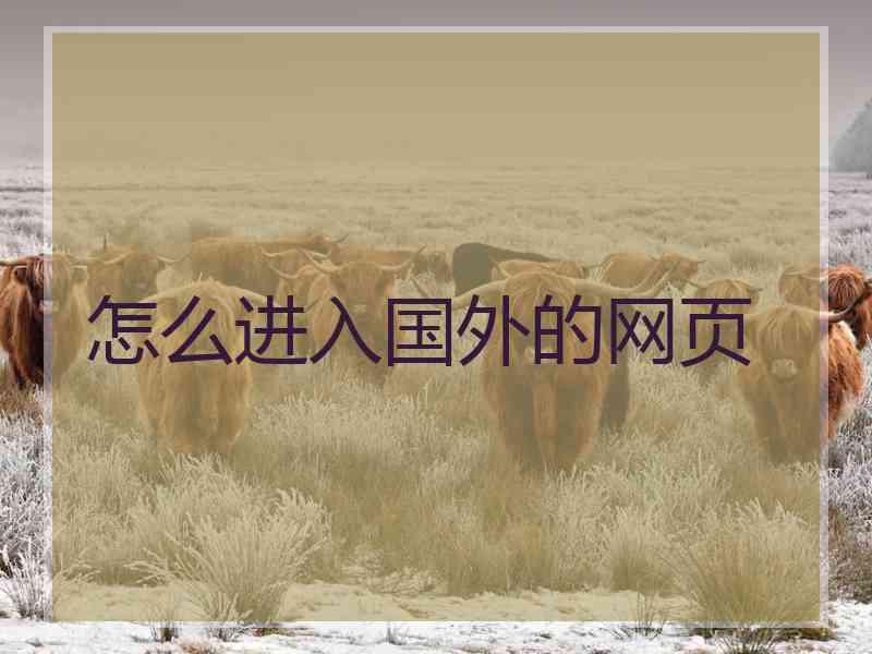 怎么进入国外的网页