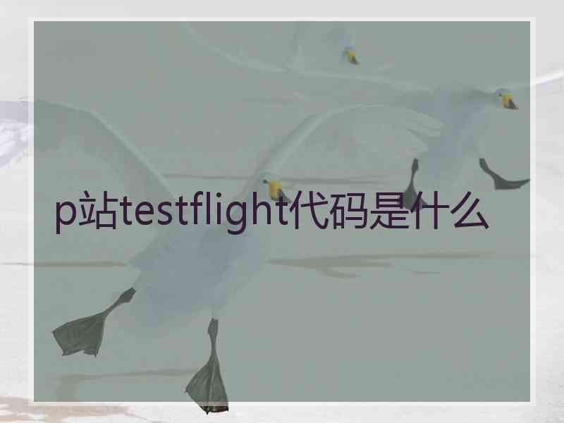 p站testflight代码是什么