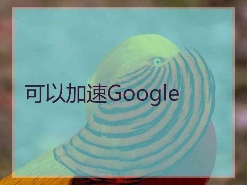 可以加速Google