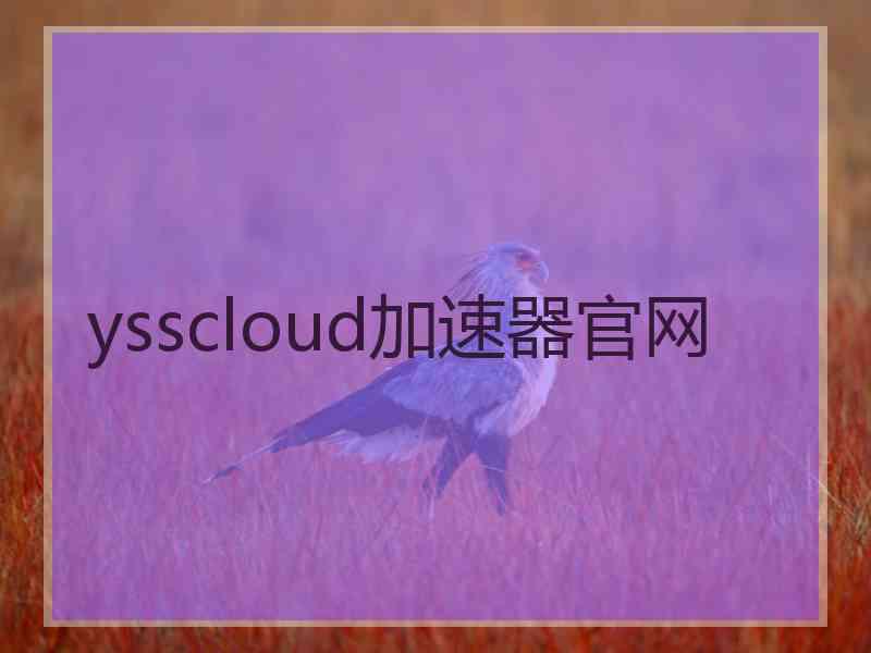 ysscloud加速器官网