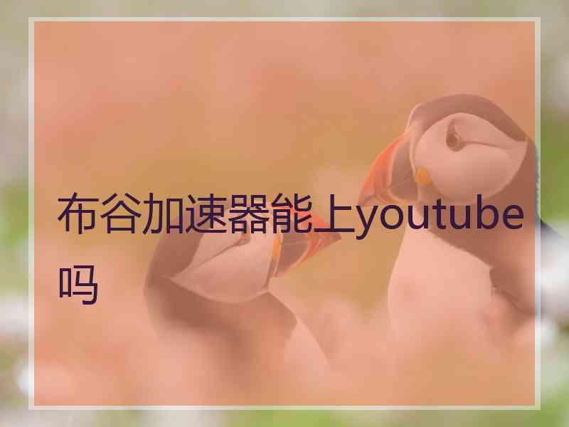 布谷加速器能上youtube吗