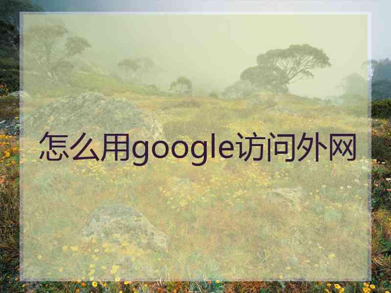 怎么用google访问外网