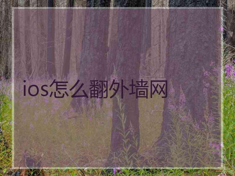 ios怎么翻外墙网