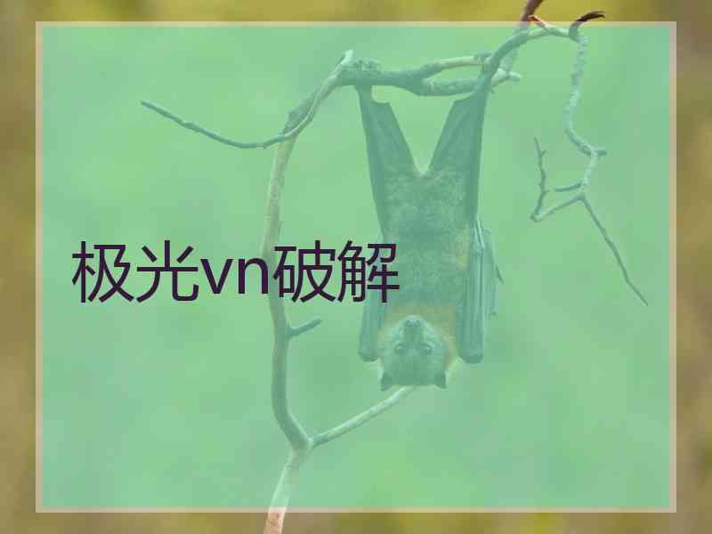 极光vn破解
