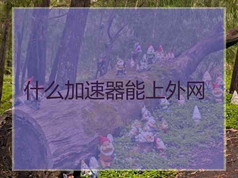 什么加速器能上外网