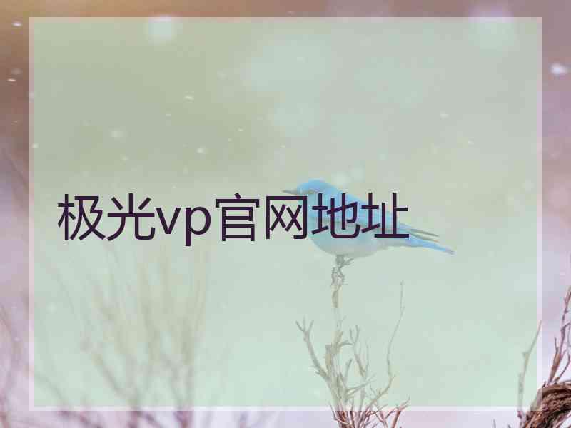 极光vp官网地址
