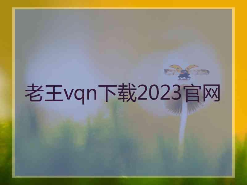 老王vqn下载2023官网