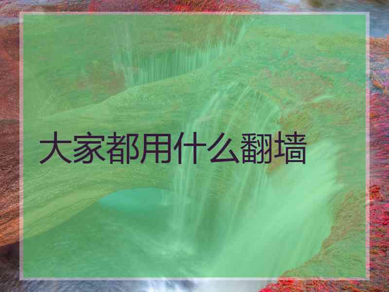 大家都用什么翻墙