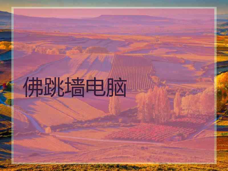 佛跳墙电脑