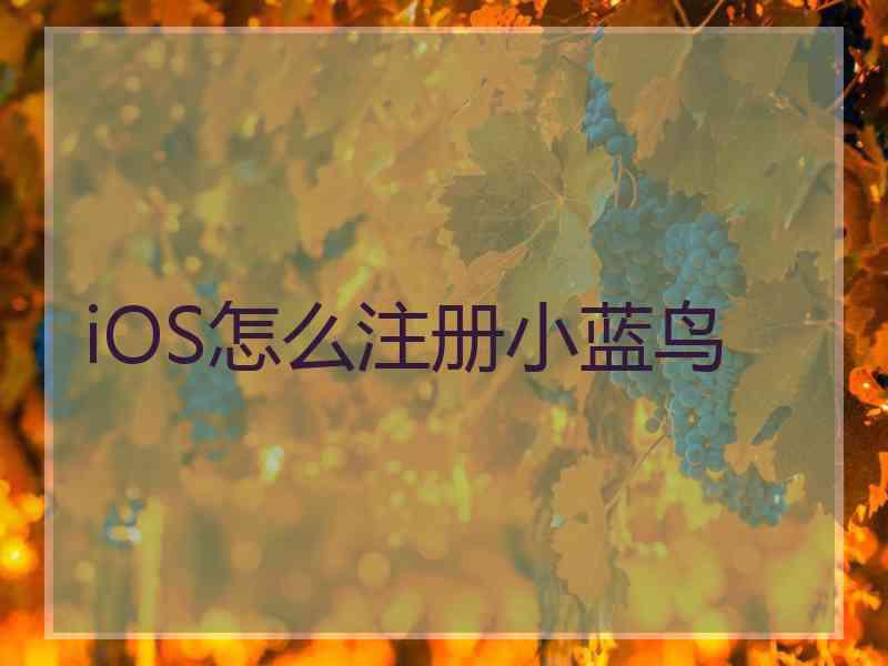 iOS怎么注册小蓝鸟