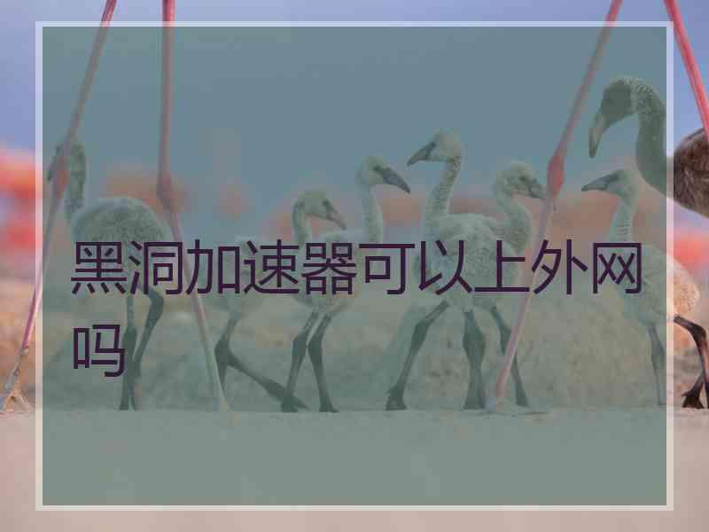 黑洞加速器可以上外网吗