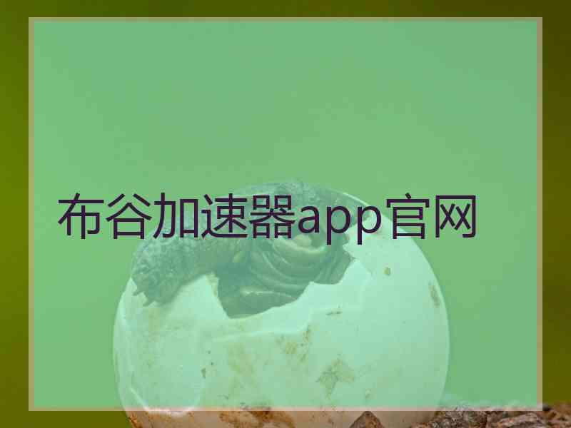 布谷加速器app官网
