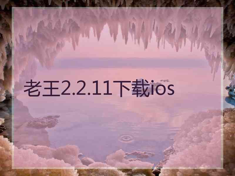 老王2.2.11下载ios