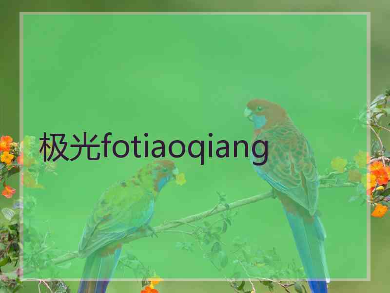 极光fotiaoqiang