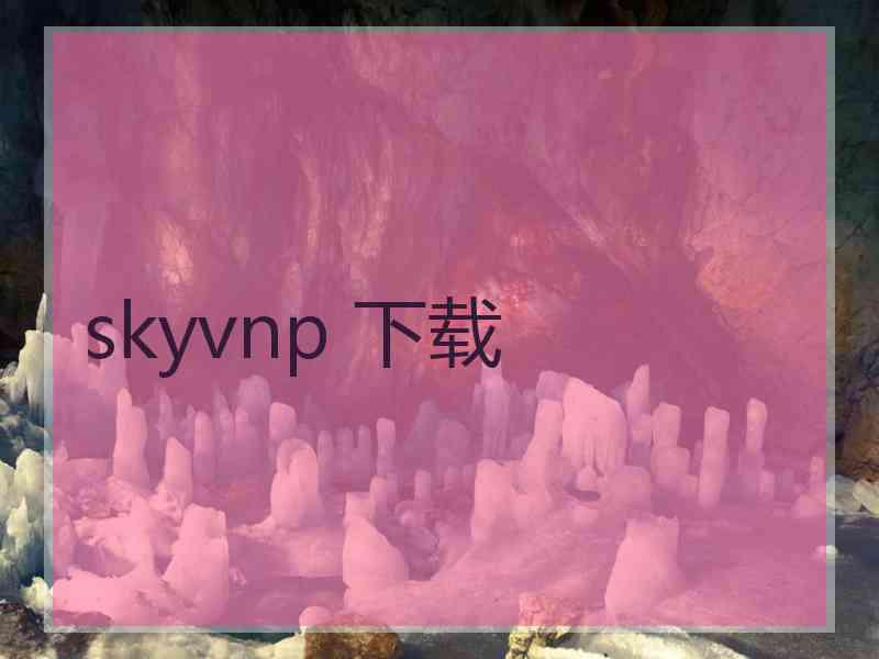 skyvnp 下载