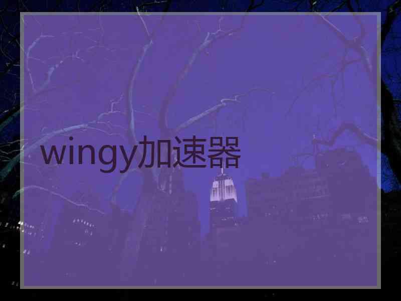 wingy加速器