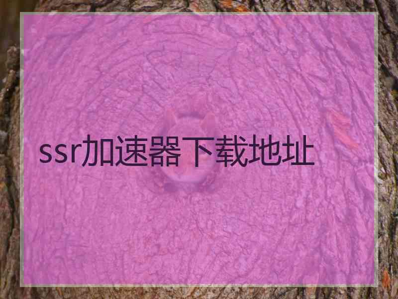 ssr加速器下载地址