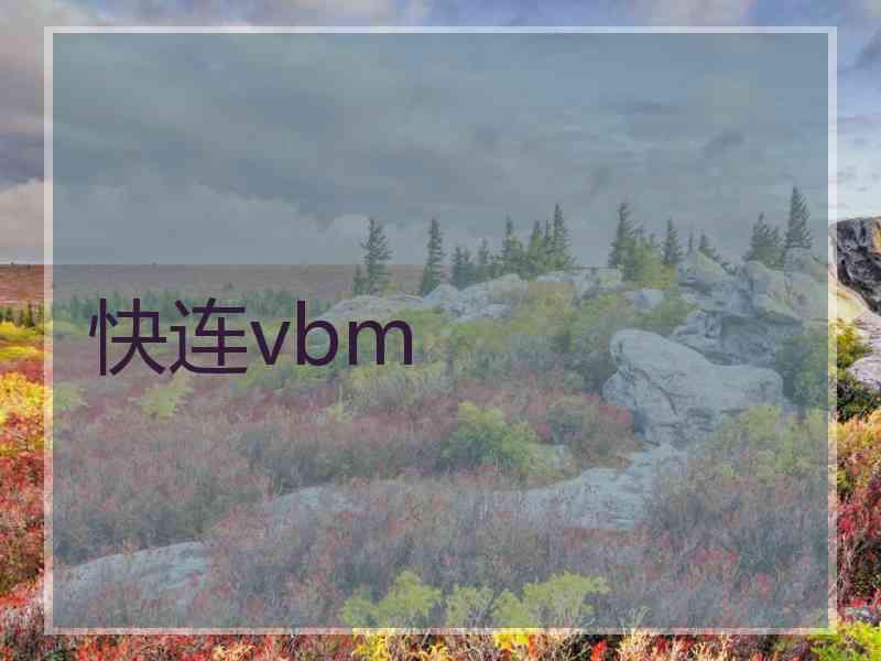 快连vbm