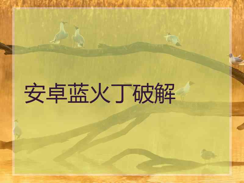 安卓蓝火丁破解