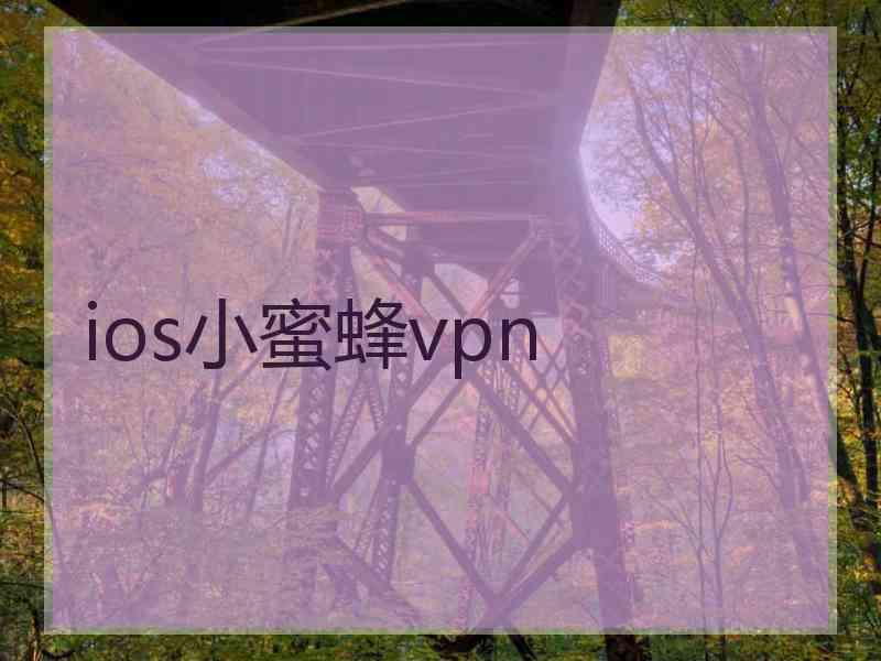 ios小蜜蜂vpn