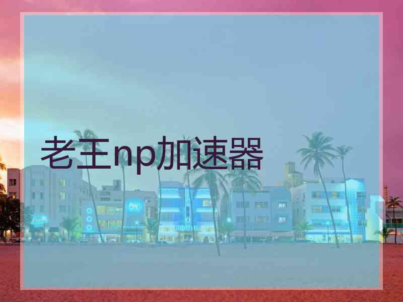 老王np加速器