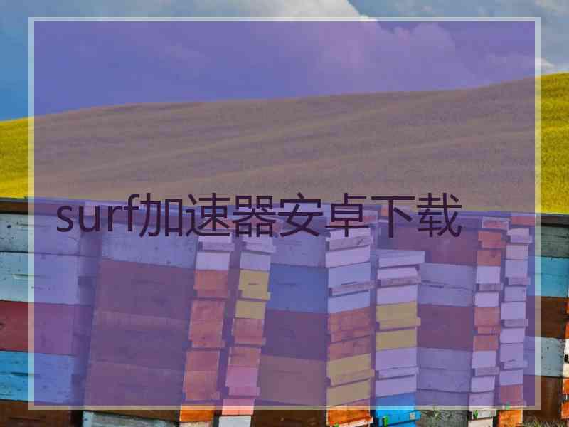 surf加速器安卓下载