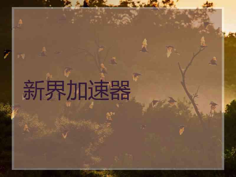 新界加速器