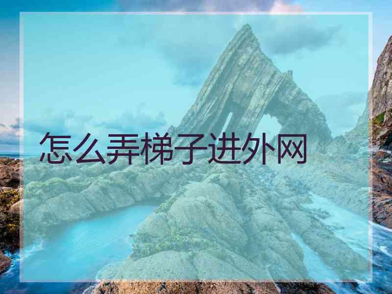 怎么弄梯子进外网