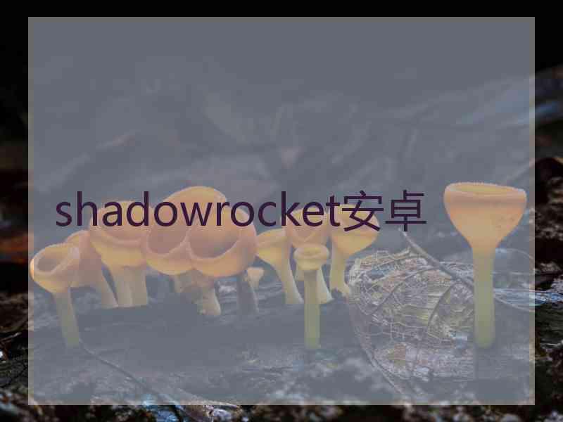 shadowrocket安卓