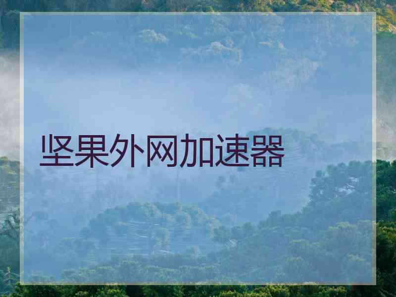 坚果外网加速器